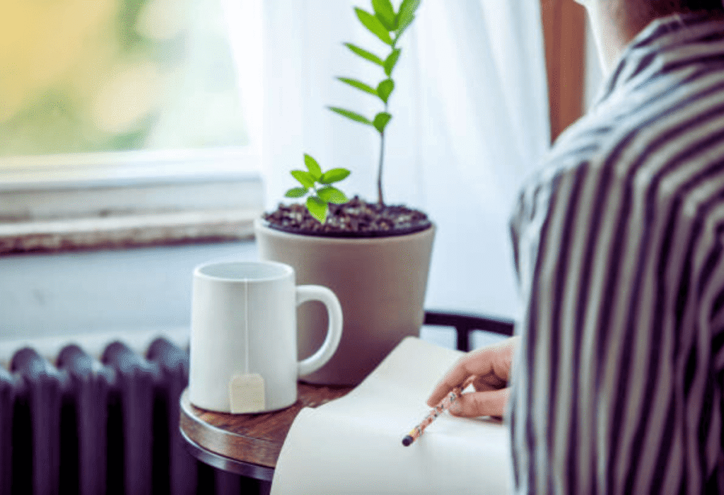 Leituras para momentos de transição e recomeços. Créditos istock.com