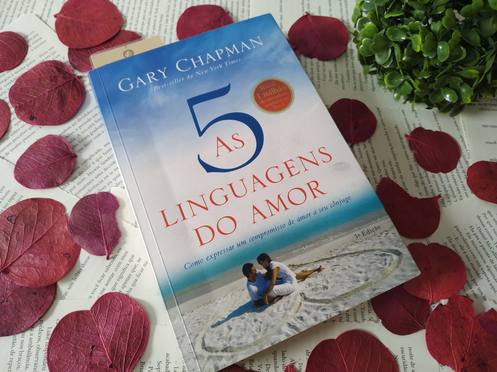 Resenha: As 5 Linguagens do Amor – Gary Chapman